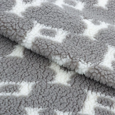 Double Side Sherpa Fabric