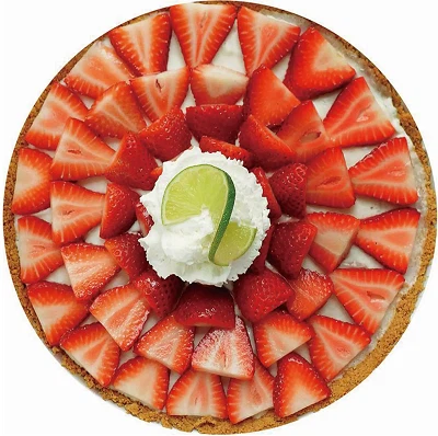 Mexican Taco Blanket